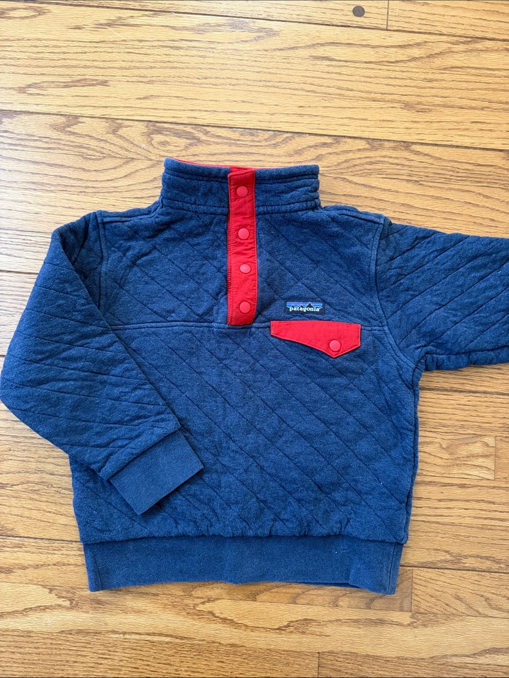 Patagonia Kids organic cotton Quilted Snap T Pullover